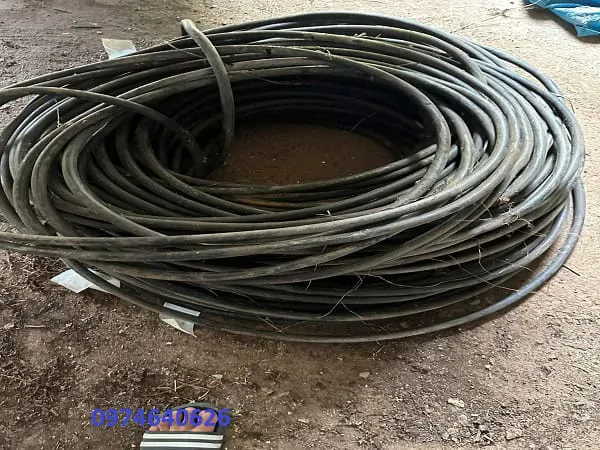 cáp phế cáp phế