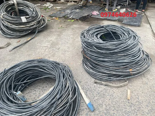 dây đồng phế dây đồng phế