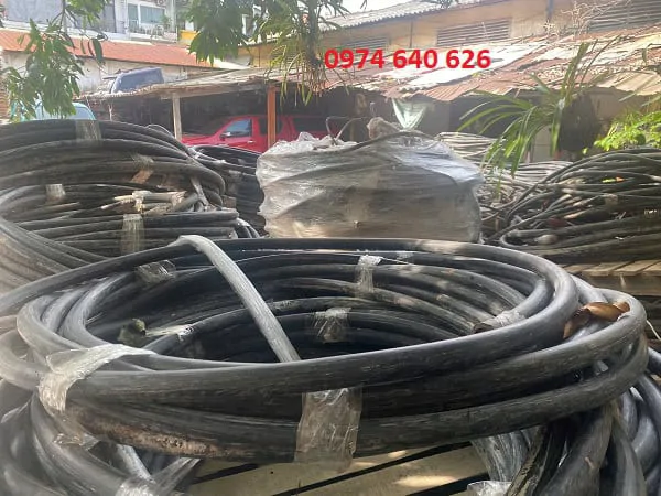 dây đồng phế dây đồng phế