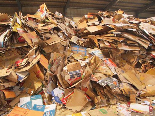 Thu mua giấy carton